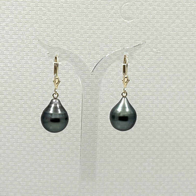 14k Yellow Gold 11–12 mm Teardrop Black Tahitian Pearl Leverback Earrings