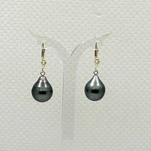 14k Yellow Gold 11–12 mm Teardrop Black Tahitian Pearl Leverback Earrings