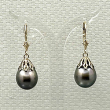 Load image into Gallery viewer, 14k Yellow Gold Leverback Baroque Black Tahitian Pearl Dangle Earrings