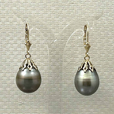 14k Yellow Gold Leverback Baroque Grey Tone Tahitian Pearl Dangle Earrings