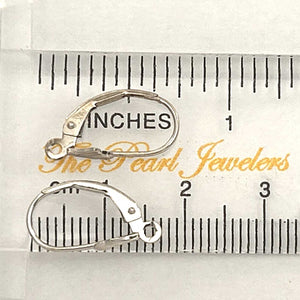 Pair of 14K Solid White Gold Lever Back Findings with Eye Pin (0.7mm)