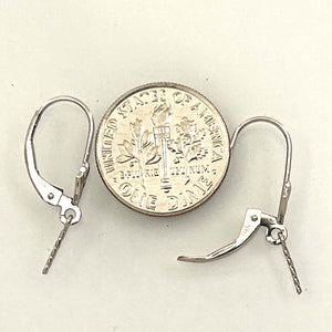 Pair of 14K Solid White Gold Lever Back Findings with Eye Pin (0.7mm)