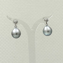 Load image into Gallery viewer, 1T00015-14k-White-Gold-Silver-Tone-Tahitian-Pearl-Dangle-Stud-Earrings