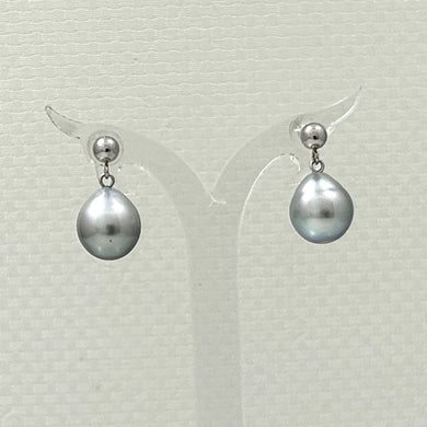 1T00015-14k-White-Gold-Silver-Tone-Tahitian-Pearl-Dangle-Stud-Earrings