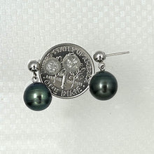 Load image into Gallery viewer, 1T00016-14k-White-Gold-Tahitian-Pearl-Dangle-Stud-Earrings