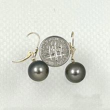 Load image into Gallery viewer, 1T00024C-Tahitian-Black-Pearl-Earrings-in-Gold-11-12mm