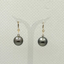 Load image into Gallery viewer, 1T00024C-Tahitian-Black-Pearl-Earrings-in-Gold-11-12mm