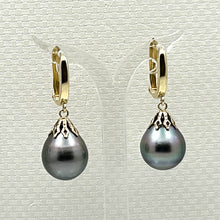 Load image into Gallery viewer, 1T00043 TAHITIAN PEARLS FLOWER PETAL STYLE 14KT YELLOW GOLD DANGLE EARRINGS