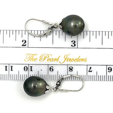 Load image into Gallery viewer, 1T00128F TAHITIAN BLACK PEARL EARRINGS IN WHITE GOLD  10MM