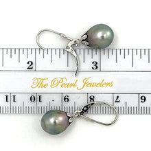 Load image into Gallery viewer, 1T00129F TAHITIAN BLACK PEARL EARRINGS IN WHITE GOLD LEVERBACK DANGLE EARRINGS
