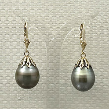Load image into Gallery viewer, 1T00222 GREY TAHITIAN PEARL DANGLE EARRINGS 14KT YELLOW GOLD