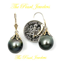 Load image into Gallery viewer, 1T00224B 14KT YELLOW GOLD BLACK TAHITIAN PEARL DANGLE EARRINGS