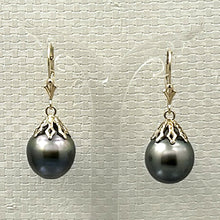 Load image into Gallery viewer, 1T00224B 14KT YELLOW GOLD BLACK TAHITIAN PEARL DANGLE EARRINGS