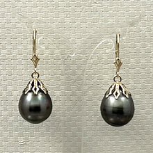Load image into Gallery viewer, 1T00224 BLACK TAHITIAN PEARL DANGLE EARRINGS 14KT YELLOW GOLD
