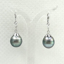 Load image into Gallery viewer, 1T00325 CLASSIC COLLECTION TAHITIAN BAROQUE 11 MM PEARL DANGLE EARRINGS 14KT WHITE GOLD