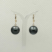 Load image into Gallery viewer, 1T01021-Tahitian-Pearl-Earrings-with-Leverback-14.5mm