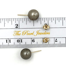 Load image into Gallery viewer, 1T01103B NATURAL CHAMPAGNE TONE TAHITIAN PEARL 14K YELLOW GOLD STUD EARRINGS