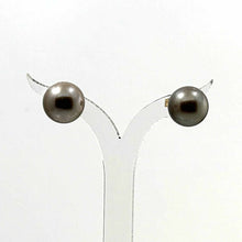 Load image into Gallery viewer, 1T01103B NATURAL CHAMPAGNE TONE TAHITIAN PEARL 14K YELLOW GOLD STUD EARRINGS