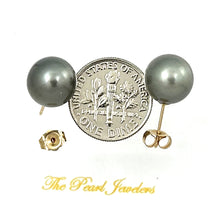 Load image into Gallery viewer, 1T01113B NATURAL SILVER-GRAY TONE TAHITIAN PEARL 14K YELLOW GOLD STUD EARRINGS