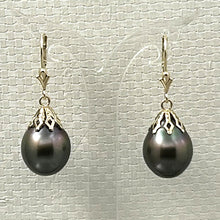 Load image into Gallery viewer, 1T01220 BLACK TAHITIAN PEARL LEVERBACK EARRINGS 14KT YELLOW GOLD