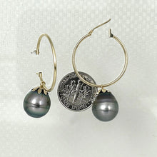 Load image into Gallery viewer, 1T01590-TAHITIAN PEARL HOOP EARRINGS IN 14KT SOLID YELLOW GOLD