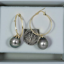 Load image into Gallery viewer, Ringed Teardrop Tahitian Pearl Hoop Earrings – 14k Yellow Gold