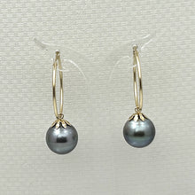 Load image into Gallery viewer, 1T01590C CLASSIC COLLECTION BLACK TAHITIAN PEARL HOOP EARRINGS 14KT GOLD