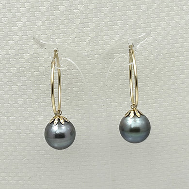 1T01590C CLASSIC COLLECTION BLACK TAHITIAN PEARL HOOP EARRINGS 14KT GOLD