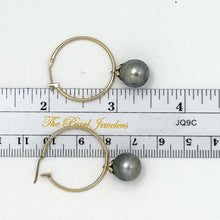 Load image into Gallery viewer, 1T01591B TAHITIAN PEARL DROP EARRINGS WITH METAL LOOP IN 14KT SOLID YELLOW GOLD