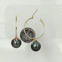 Load image into Gallery viewer, 1T01592B CLASSIC COLLECTION BLACK TAHITIAN PEARL 14KT GOLD HOOP EARRINGS