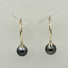Load image into Gallery viewer, 1T01592B CLASSIC COLLECTION BLACK TAHITIAN PEARL 14KT GOLD HOOP EARRINGS