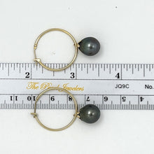 Load image into Gallery viewer, 1T01592 CLASSIC COLLECTION 14KT GOLD BLACK TAHITIAN PEARL HOOP EARRINGS