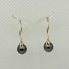 Load image into Gallery viewer, 1T01592 CLASSIC COLLECTION 14KT GOLD BLACK TAHITIAN PEARL HOOP EARRINGS