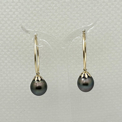 1T01592 CLASSIC COLLECTION 14KT GOLD BLACK TAHITIAN PEARL HOOP EARRINGS