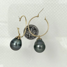Load image into Gallery viewer, 1T01593B CLASSIC COLLECTION 13-14MM TAHITIAN PEARL HOOP EARRINGS