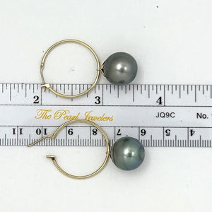 1T01593 CLASSIC COLLECTION  TAHITIAN 13-14MM PEARL HOOP EARRINGS