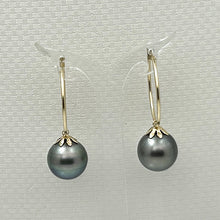 Load image into Gallery viewer, 1T01593 CLASSIC COLLECTION  TAHITIAN 13-14MM PEARL HOOP EARRINGS