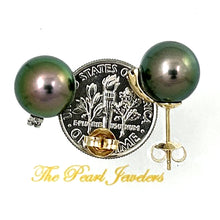 Load image into Gallery viewer, 1T01900 14K SOLID YELLOW GOLD DIAMONDS GLORIOUS TAHITIAN PEARLS STUD EARRINGS