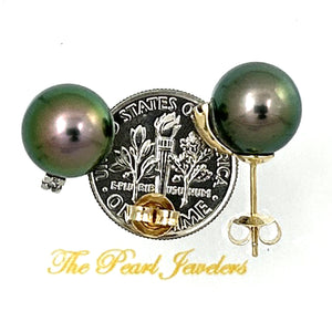 1T01900 14K SOLID YELLOW GOLD DIAMONDS GLORIOUS TAHITIAN PEARLS STUD EARRINGS