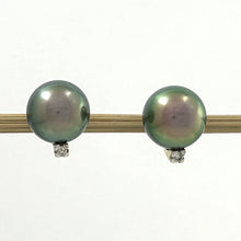 Load image into Gallery viewer, 1T01900 14K SOLID YELLOW GOLD DIAMONDS GLORIOUS TAHITIAN PEARLS STUD EARRINGS
