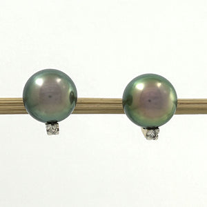 1T01900 14K SOLID YELLOW GOLD DIAMONDS GLORIOUS TAHITIAN PEARLS STUD EARRINGS