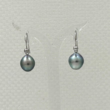 Load image into Gallery viewer, 1T02636-Real-14Kt-White-Gold-Tahitian-Pearls-Shepherds-Wire-Earrings