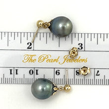 Load image into Gallery viewer, 1T04912 BLACK TAHITIAN PEARL IN 14K YELLOW SOLID GOLD EARRINGS
