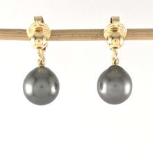Load image into Gallery viewer, Black Tahitian Pearl Clip On Dangle Earrings – 14k Yellow Gold Fill