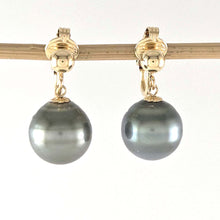 Load image into Gallery viewer, Non Pierced Black Tahitian Pearl Dangle Earrings 14k Yellow Gold Fill