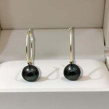 Load image into Gallery viewer, Real Black Tahitian Pearl Hoop Earrings – 14k Yellow Gold