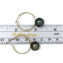 Load image into Gallery viewer, Iridescent Baroque Tahitian Pearl Hoop Earrings – 14k Yellow Gold
