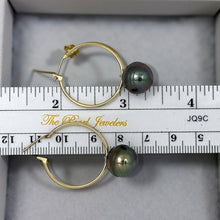 Load image into Gallery viewer, Iridescent Baroque Tahitian Pearl Hoop Earrings – 14k Yellow Gold