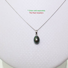 Load image into Gallery viewer, AAA Black Freshwater Pearl Pendant – 14k White Gold Box Chain