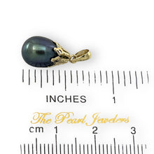 Load image into Gallery viewer, Black Pearl Pendant – 14k Yellow Gold with Claw Setting